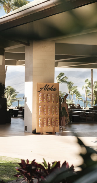 Aloha 2 small