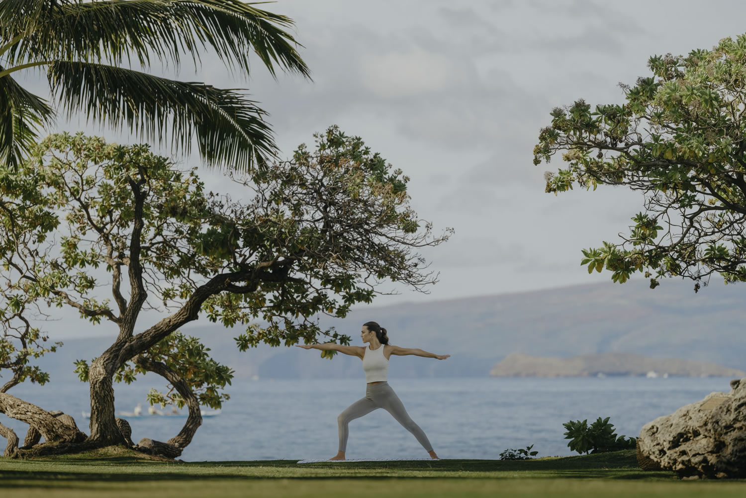 Wellness Classes
