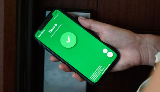 arrival phone
