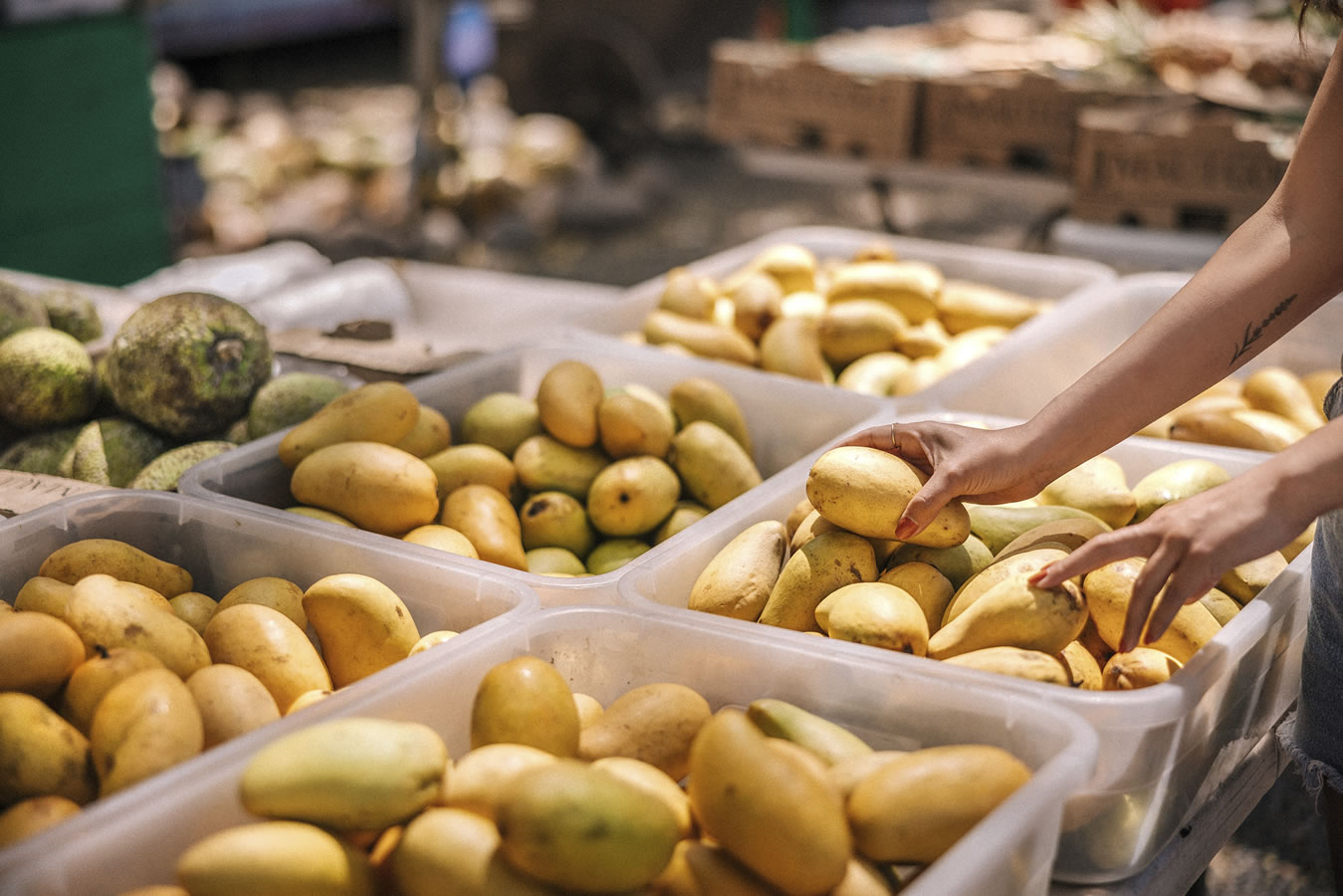 mangoes